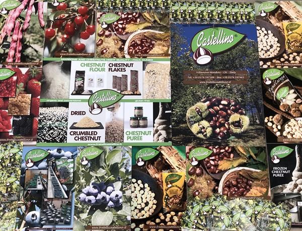 LA NOSTRA PICCOLA REALTA'