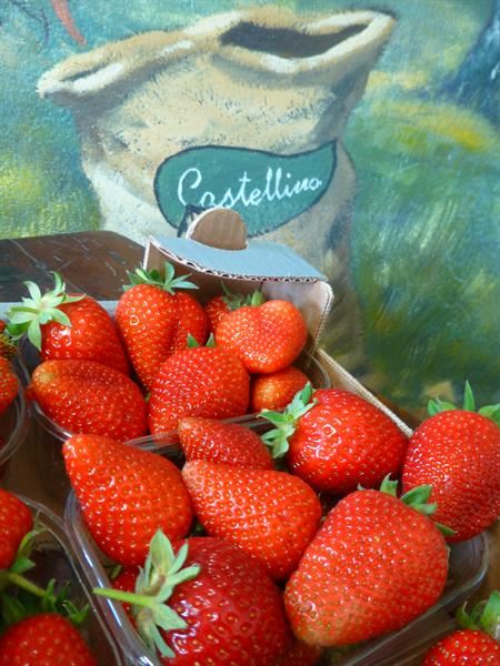 LE FRAGOLE