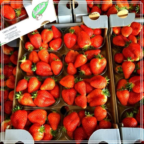 Fragole