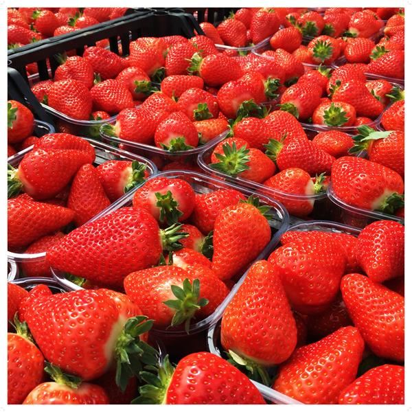 Fragole