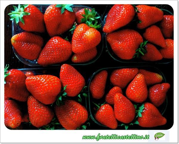 Fragole