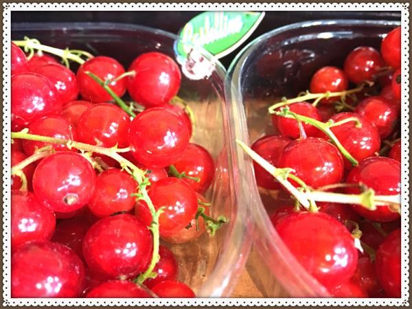 Ribes rosso