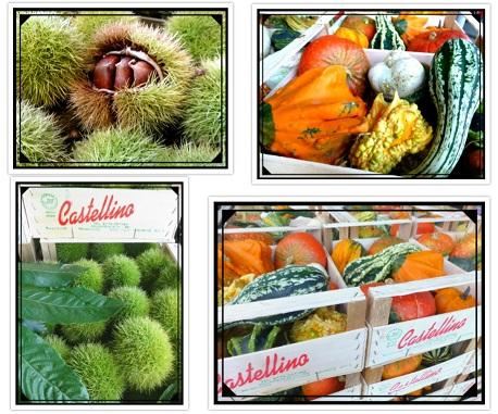 LA CASTAGNA SIMBOLO DELL'AUTUNNO