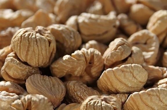 CASTAGNE SECCHE