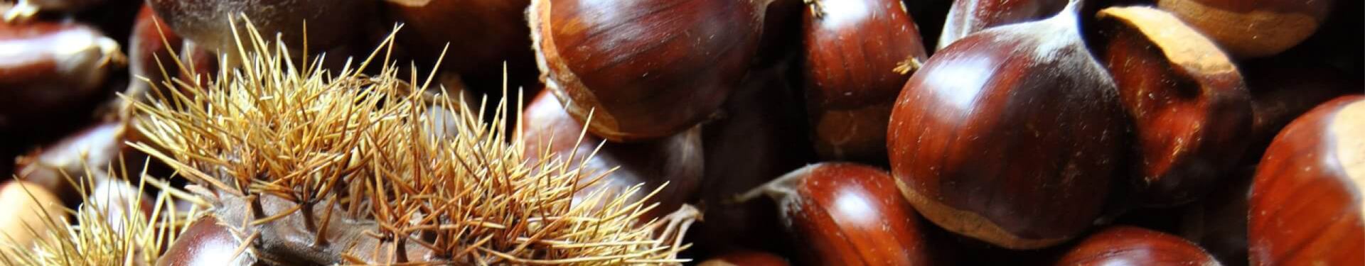 Fratelli Castellino: Castagne e altri prodotti