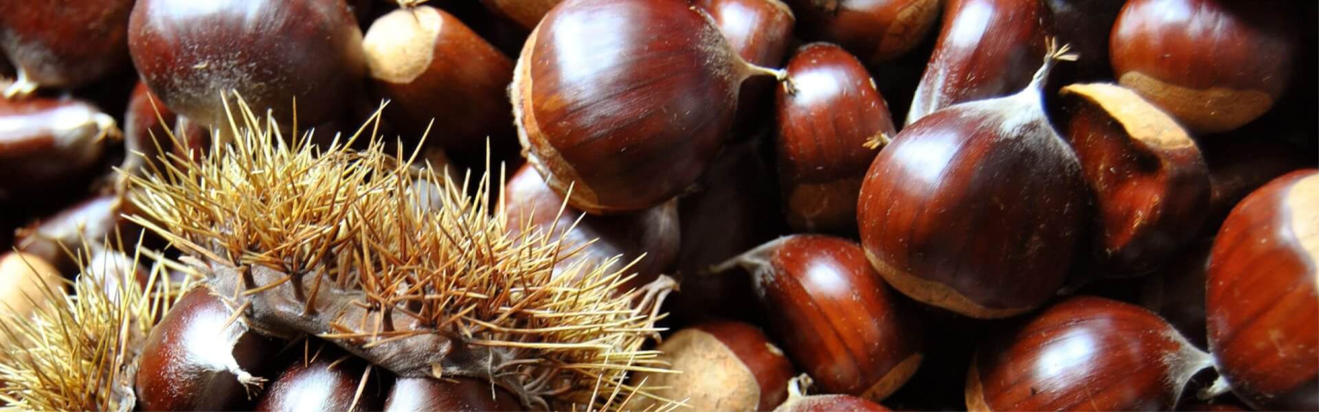 Fratelli Castellino: Castagne