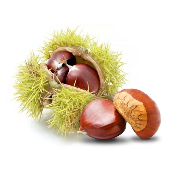 Castagne Fratelli Castellino