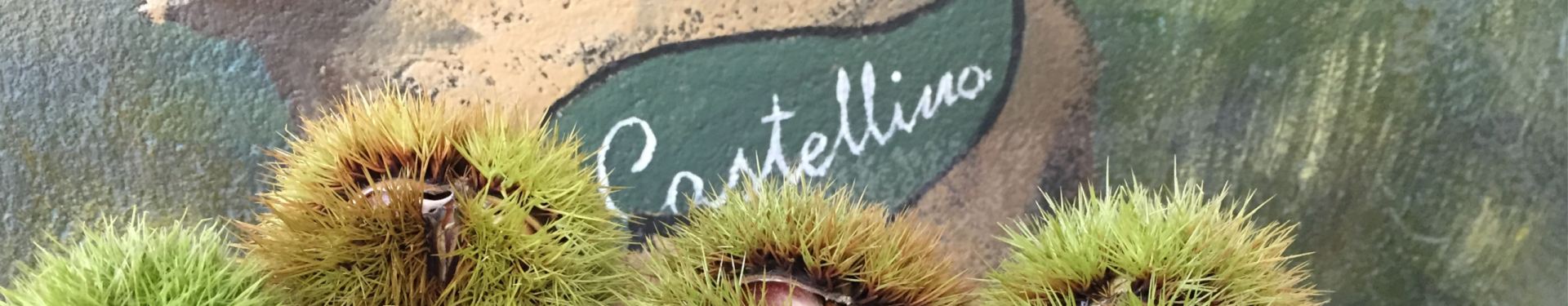 Fratelli Castellino: Contatti