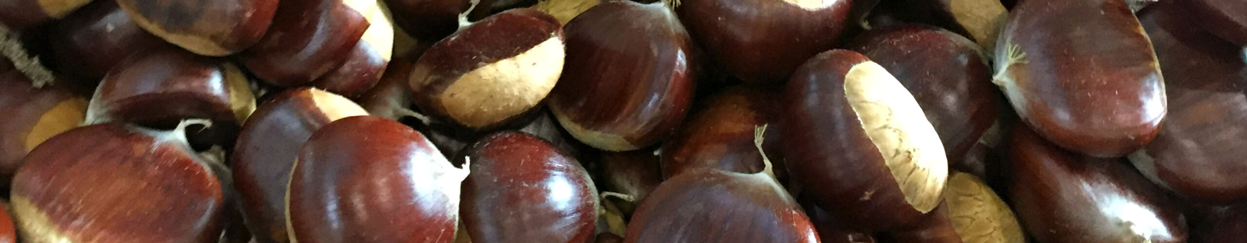 Fratelli Castellino: Frutta autunnale