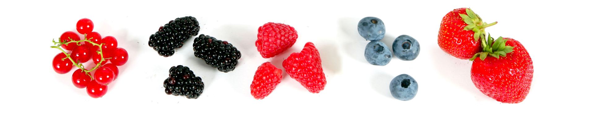 Fratelli Castellino: News