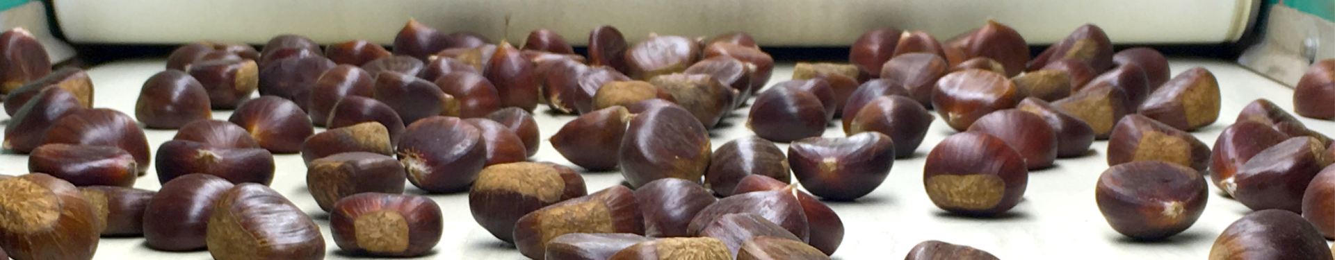 Fratelli Castellino: Parlano di noi