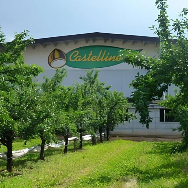 L'azienda Fratelli Castellino e il suo castagneto